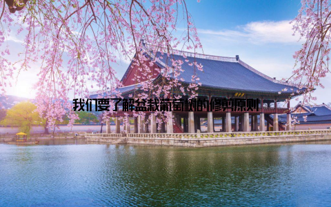 我们要了解盆栽葡萄树的修剪原则