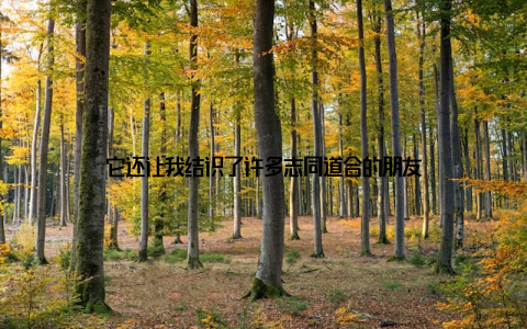 它还让我结识了许多志同道合的朋友