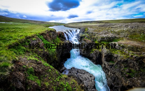 如今, 我已经和茶梅相伴了数个春秋