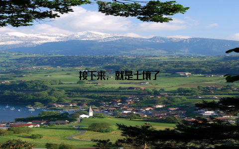 接下来, 就是土壤了