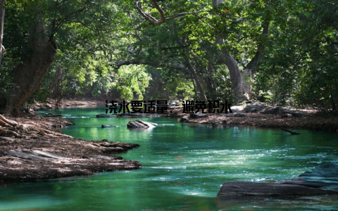 浇水要适量, 避免积水