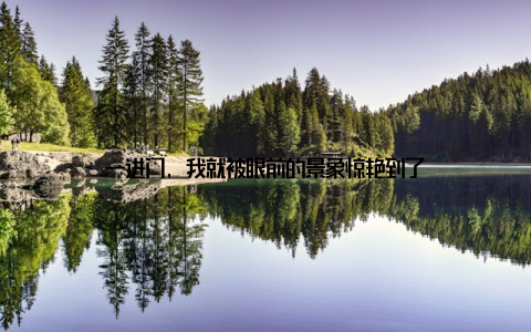 一进门, 我就被眼前的景象惊艳到了