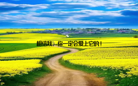 相信我, 你一定会爱上它的!