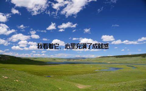 我看着它, 心里充满了成就感