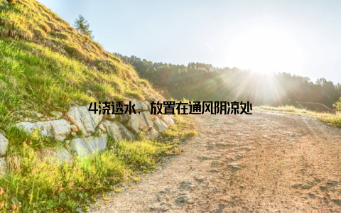 4浇透水, 放置在通风阴凉处