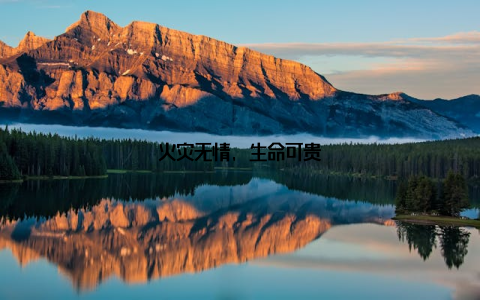 火灾无情, 生命可贵