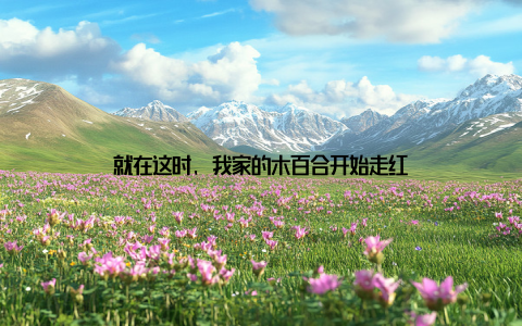 就在这时, 我家的木百合开始走红