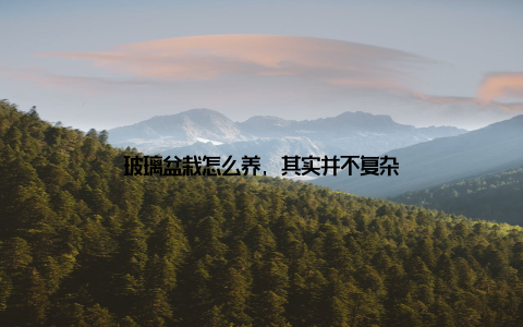 玻璃盆栽怎么养, 其实并不复杂