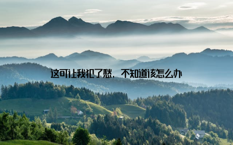 这可让我犯了愁, 不知道该怎么办