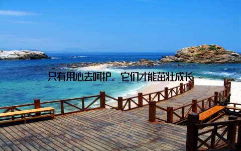 只有用心去呵护, 它们才能茁壮成长