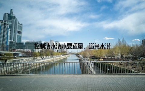 控制浇水浇水要适量, 避免水涝