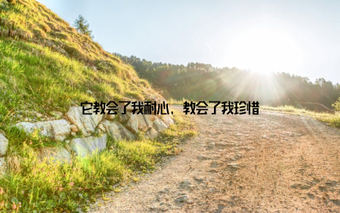 它教会了我耐心, 教会了我珍惜