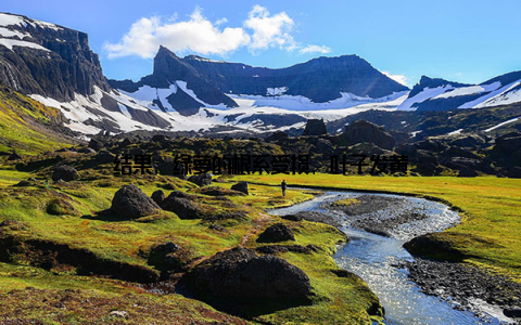 结果, 绿萝的根系受损, 叶子发黄