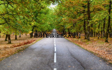 愿我们的友谊地久天长!