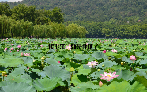 接下来, 就是种植了