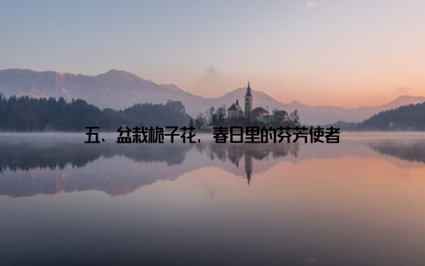 五、盆栽桅子花, 春日里的芬芳使者