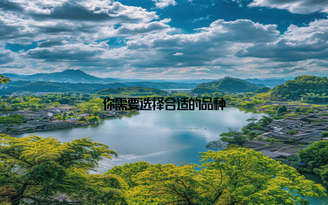 你需要选择合适的品种