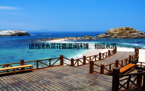 适当浇水茶花喜湿润环境, 但忌水涝