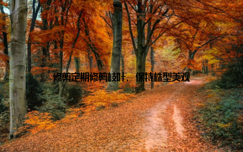 修剪定期修剪枝叶, 保持株型美观