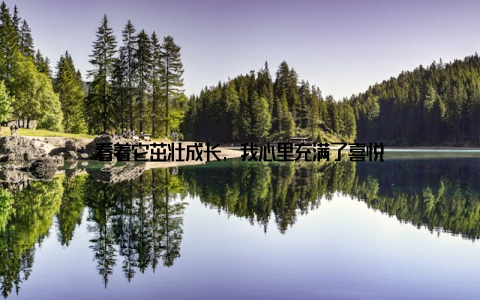 看着它茁壮成长, 我心里充满了喜悦