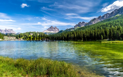 浇水绿箩喜湿润环境, 但不宜积水