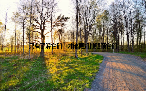 只有了解它们, 才能更好地照顾它们