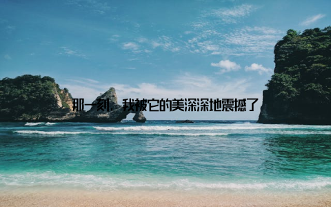 那一刻, 我被它的美深深地震撼了