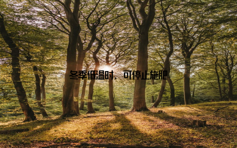 冬季低温时, 可停止施肥