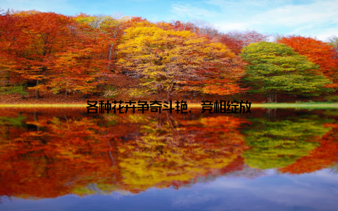 各种花卉争奇斗艳, 竞相绽放