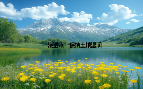 – 浇透水, 保持土壤湿润