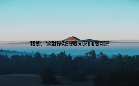 我想, 这就是我热爱园艺的原因吧