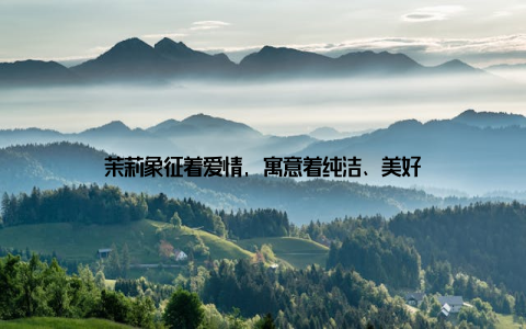 茉莉象征着爱情, 寓意着纯洁、美好