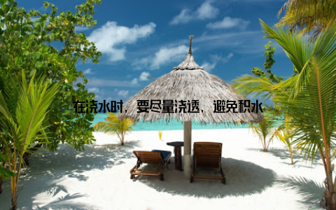 在浇水时, 要尽量浇透, 避免积水