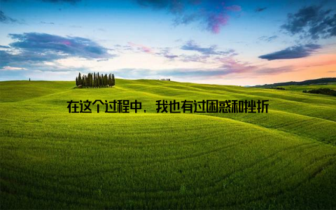 在这个过程中, 我也有过困惑和挫折