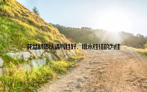 花盆材质以透气性好、排水性佳的为佳