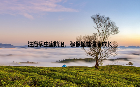 注意病虫害防治, 确保植株健康成长