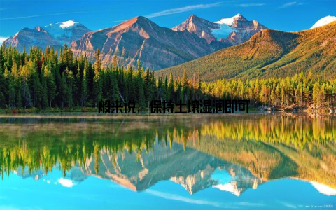 一般来说, 保持土壤湿润即可