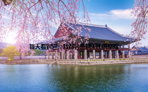 每天看到它, 我都会感到无比的幸福