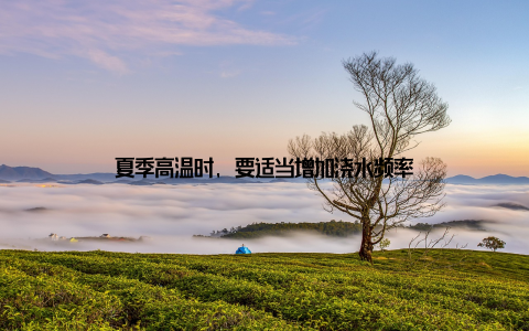 夏季高温时, 要适当增加浇水频率