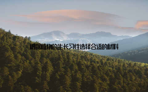 根据植物的生长习性选择合适的材料
