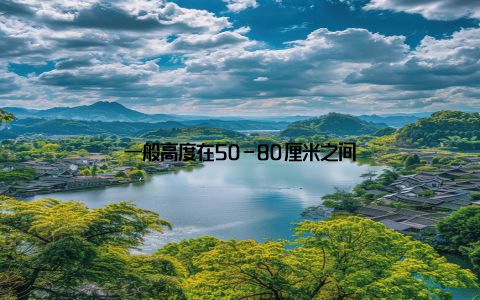 一般高度在50-80厘米之间