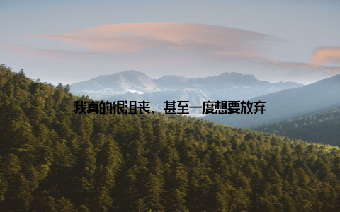 我真的很沮丧, 甚至一度想要放弃