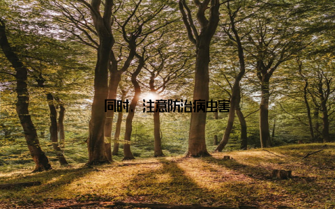 同时, 注意防治病虫害