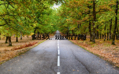 没过多久, 我就发现了问题