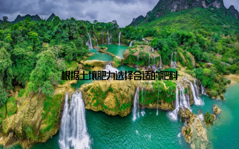 根据土壤肥力选择合适的肥料