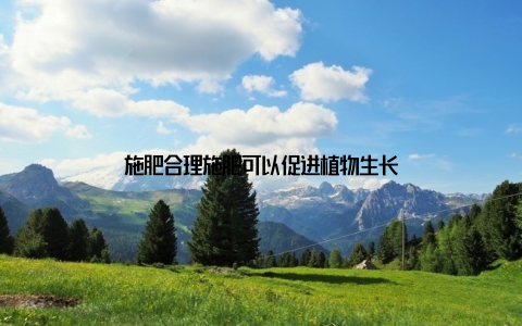 施肥合理施肥可以促进植物生长