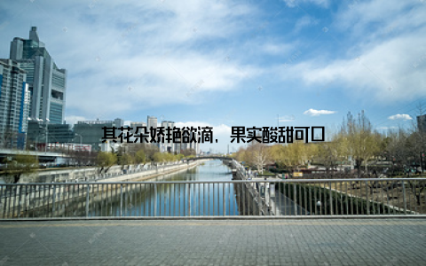 其花朵娇艳欲滴, 果实酸甜可口