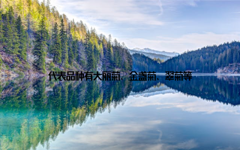 代表品种有大丽菊、金盏菊、翠菊等