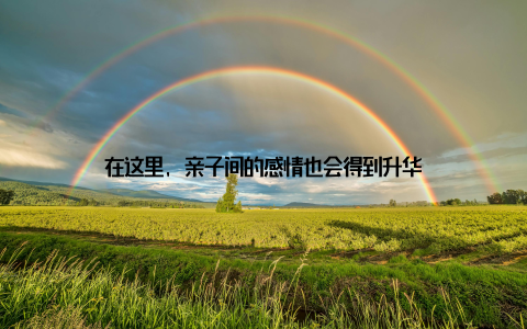 在这里, 亲子间的感情也会得到升华