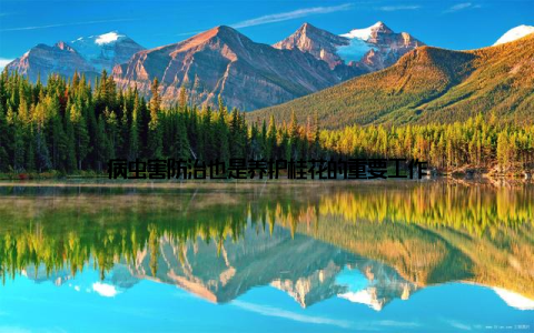 病虫害防治也是养护桂花的重要工作